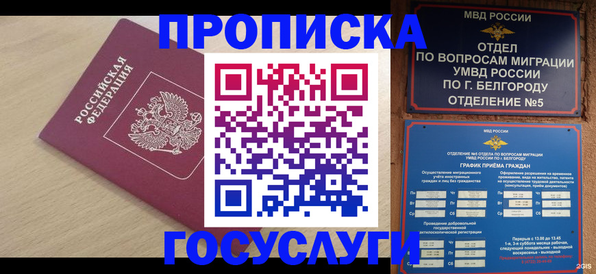 прописка законно в Таганроге